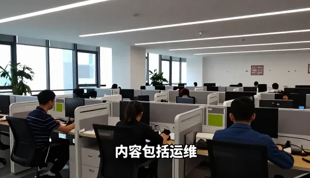 上海新域系统集成有限公司打造专业内容包括运维服务
